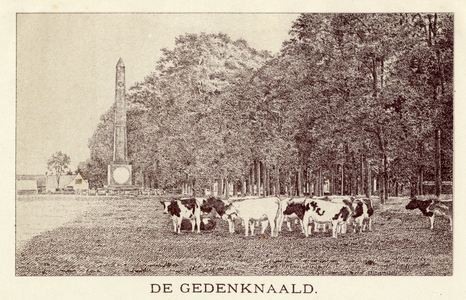 107474 Gezicht op de gedenknaald ter herinnering aan de Slag bij Quatre-Bras (B) aan de Torenlaan te Soestdijk ...